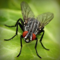 /album/casamania-it/photolia-a01-jpg/