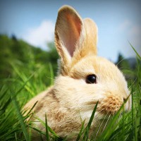 /album/casamania-it/photolia-a03-jpg/