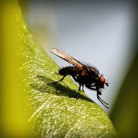 /album/casamania-it/photolia-a04-jpg/