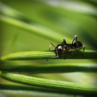 /album/casamania-it/photolia-a05-jpg/