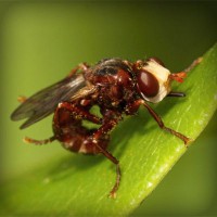 /album/casamania-it/photolia-a06-jpg/