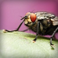 /album/casamania-it/photolia-a08-jpg/